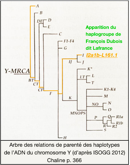 Haplotype de Dubois dit Lafrance - Profil génétique des ancêtres - Association des familles Dubois