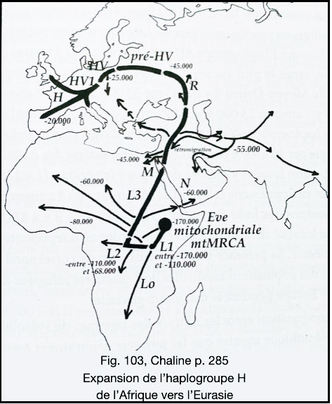 Expansion de l'haplogroupe H de l'Afrique vers l'Eurasie - Association des familles Dubois